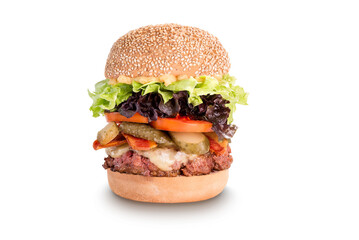 handmade burger with meat and sauce