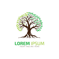 Obraz premium Tree logo icon vector illustration abstract Tree logo silhouette green tree isolated