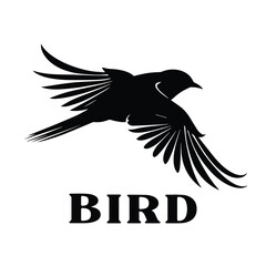 Fototapeta na wymiar silhouette of bird flying, in white background, vector illustration