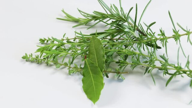 herbes aromatiques isol&eacute;es sur un fond blanc