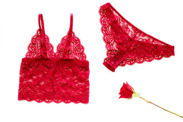 Red lace panties and bra with red rose for romantic gift