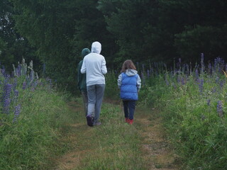 Fototapeta premium Rear View Of Children On Outdoor Activity Camping Trip Walking Along Countryside Path