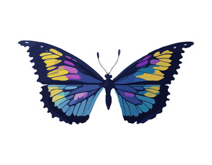 Butterfly painted in watercolor. Hand drawn summer illustration insect for design.