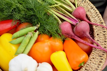 Beets, peppers, dill, garlic in a basket, healthy, organic food.