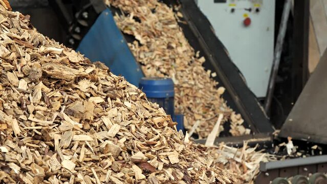 Close-up of a machine for chopping wood into sawdust. Wood processing machine. Pulp and paper production. Processing of wood waste into chips. Biofuel production