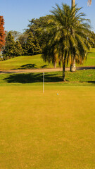 Green de um Campo de golfe na cidade de Mogi das Cruzes em São Paulo. 