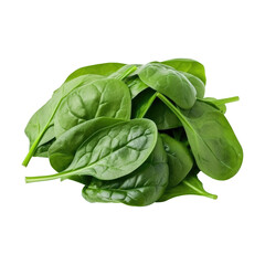 Obraz premium Spinach isolated on transparent background. Generative ai