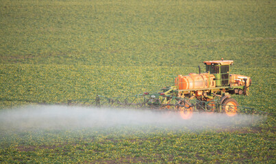 Fototapeta premium Spraying Progress: Witnessing the Tractor's Impact on Field Growth