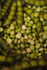 Green pigeon peas background from puerto rico
