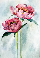 two red peonies