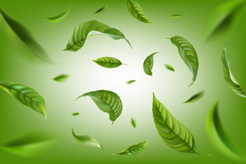 Vector realistic illustration with green tea leaves in motion on a green background. Element for design, advertising, packaging of tea products - obrazy, fototapety, plakaty