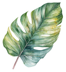 Watercolor illustration of a tropical leaf. Ai illustration. Transparent background, png