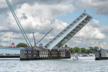 Fototapete Erasmusbrücke Erasmusbrug in Rotterdam, Zuid-Holland province, The Netherlands
