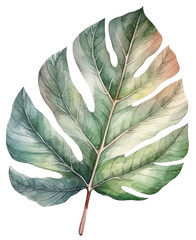 Watercolor illustration of a tropical leaf. Ai illustration. Transparent background, png