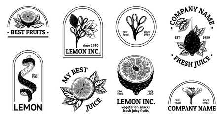 Lemon logo. Vintage leaf, icon, summer nature food art, retro fruit tree, orange plants and tropical doodles, healthy juice. Vector illustration design  - obrazy, fototapety, plakaty