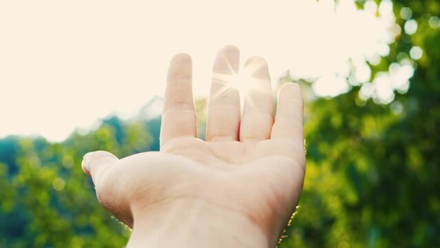 Female hand touching the sun, sunlight passing through fingers, pine forest mountain at sunset, closeup shining sun and the branches of the trees, season travel nature idyllic