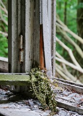 Ruine einer ehemligen NVA-Kaserne Dwasieden Rügen
