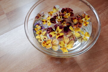 bowl of viola flowers
