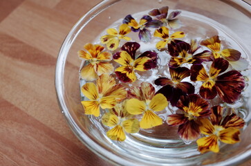 bowl of viola flowers