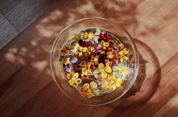 bowl of viola flowers