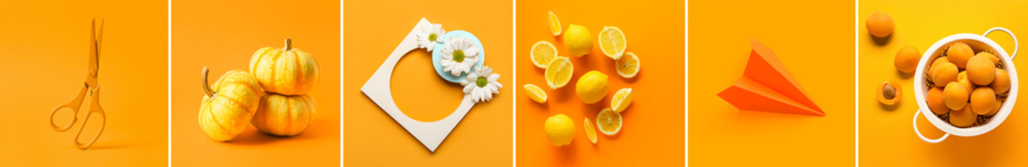 Collage of photos in orange colors