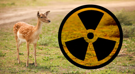 Nuclear symbol and wild deer outdoors