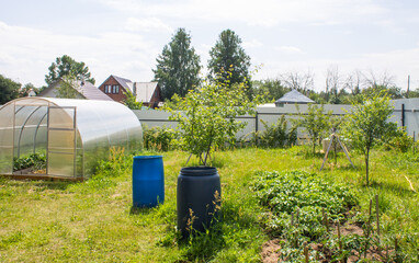 A suburban plot with a greenhouse, fruit trees, beds, green grass and a fence on a sunny summer day in the Moscow region. Concept gardening and rural farming