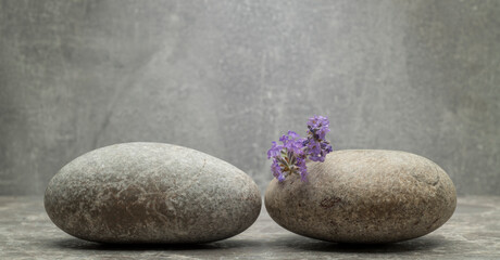 Fototapeta na wymiar zen stone and lavender for product presentation podium background