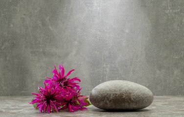 monarda flower and stones for product presentation podium background
