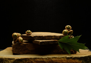stones and acorns for podium.minimal composition with flat stone and green acorns for product presentation podium background