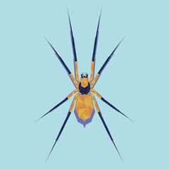 polygonal spider on a blue background