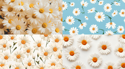 Fototapeta premium flowers background