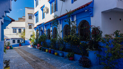 An old blue building with flower and flower pots