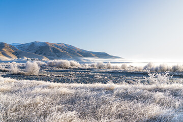 Frosty Morning Lindis pass, Central Otago, New Zealand 