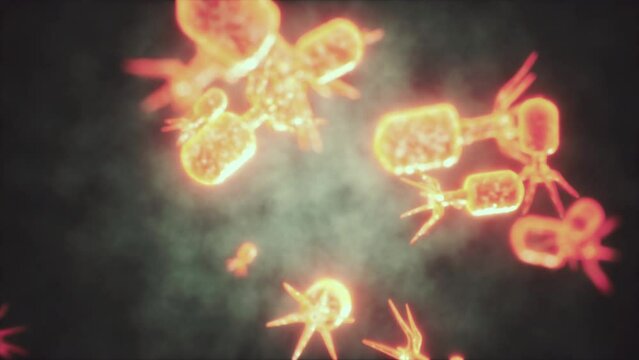 Viewing the navirus under a digital microscope