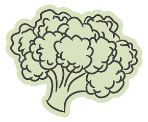Cauliflower icon. Healthy natural raw organic doodle