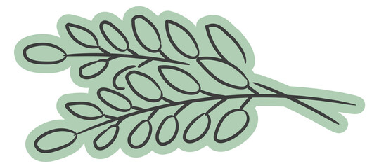 Rosemary branch. Food seasoning herb doodle icon