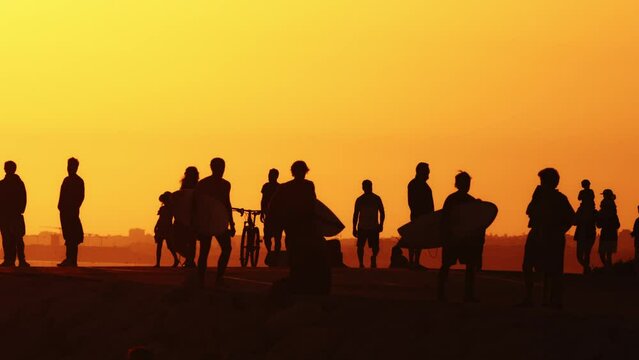 Black silhouettes of youth holding surfing boards and walking with a bike at sunset