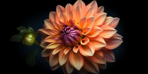 Dahlia flower copy space  background. AI Generated
