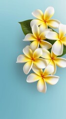 Frangipani flower copy space  background. AI Generated