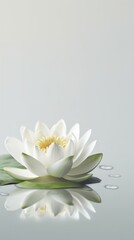 lotus Nelumbo nucifera flower blurred background. AI Generated