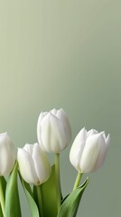 White tulip flower background. AI Generated