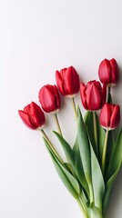 Fototapeta premium Red tulip flower story background. AI Generated