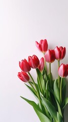 Red tulip flower story background. AI Generated