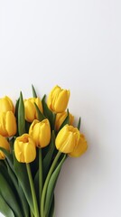 Yellow tulip flower story background. AI Generated