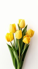 Yellow tulip flower story background. AI Generated
