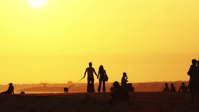 Black silhouettes of people on the hill at sunset - a couple walking holding hands and walking out their dog