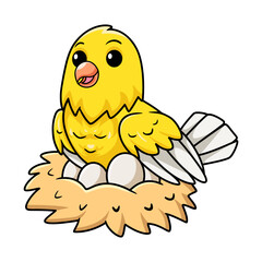 Cute canary bird cartoon with eggs in the nest