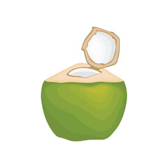 Vector illustration of whole and half green young coconut. Ripe coconut icon, logo, clip art in cartoon flat style for copra and drinking business. Green coconut tropical fruit.