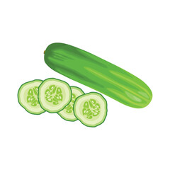 Vector illustration of ripe and unripe green cucumber with leaves. Sliced and whole cucumber vegetable in cartoon flat style for business and education design element. Healthy for skin treatment